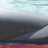 Υ/Β ΩΚΕΑΝΟΣ είναι εκσυγχρονισμένο Υ/Β τ. «ΠΟΣΕΙΔΩΝ» / Submarine "OKEANOS" It modernized Submarine former "POSEIDON" / Подводная лодка "OKEANOS", модернизированная подводная лодка на базе подводной лодки типа «Посейдон»