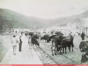 The 600-meter line along which the cart moved, transporting the machinery and supplies to the factory. A market for farm animals is taking place at the moment the photo was taken © Marcos Andreou