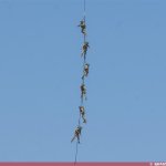 Special Operation Forces Hellenic NDGS