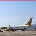 Boeing 737-8-200 MAX Buzz